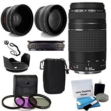 Best 300Mm Lens for Canon