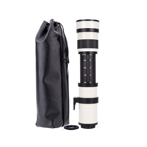 Best Canon Birding Lens