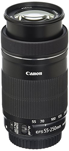 Best Canon Efs Zoom Lens