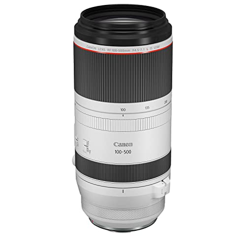 Best Canon Lens Bird Photography