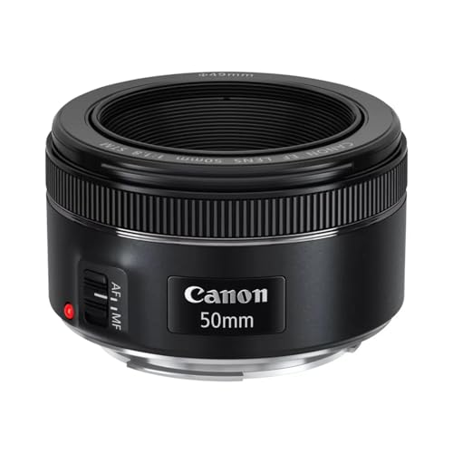 Best Canon Rebel T6 Lenses
