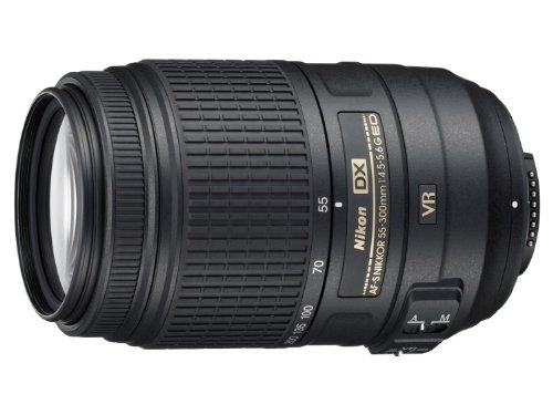 Best Dx Lenses for Nikon