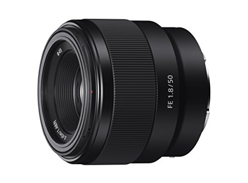 Best E Mount Sony Lenses