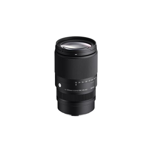 Best Landscape Lens Sony