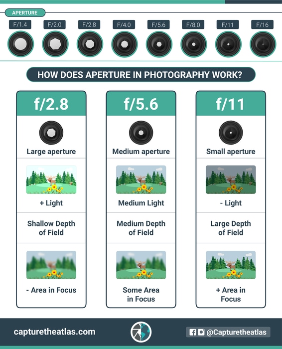 Photography Basics